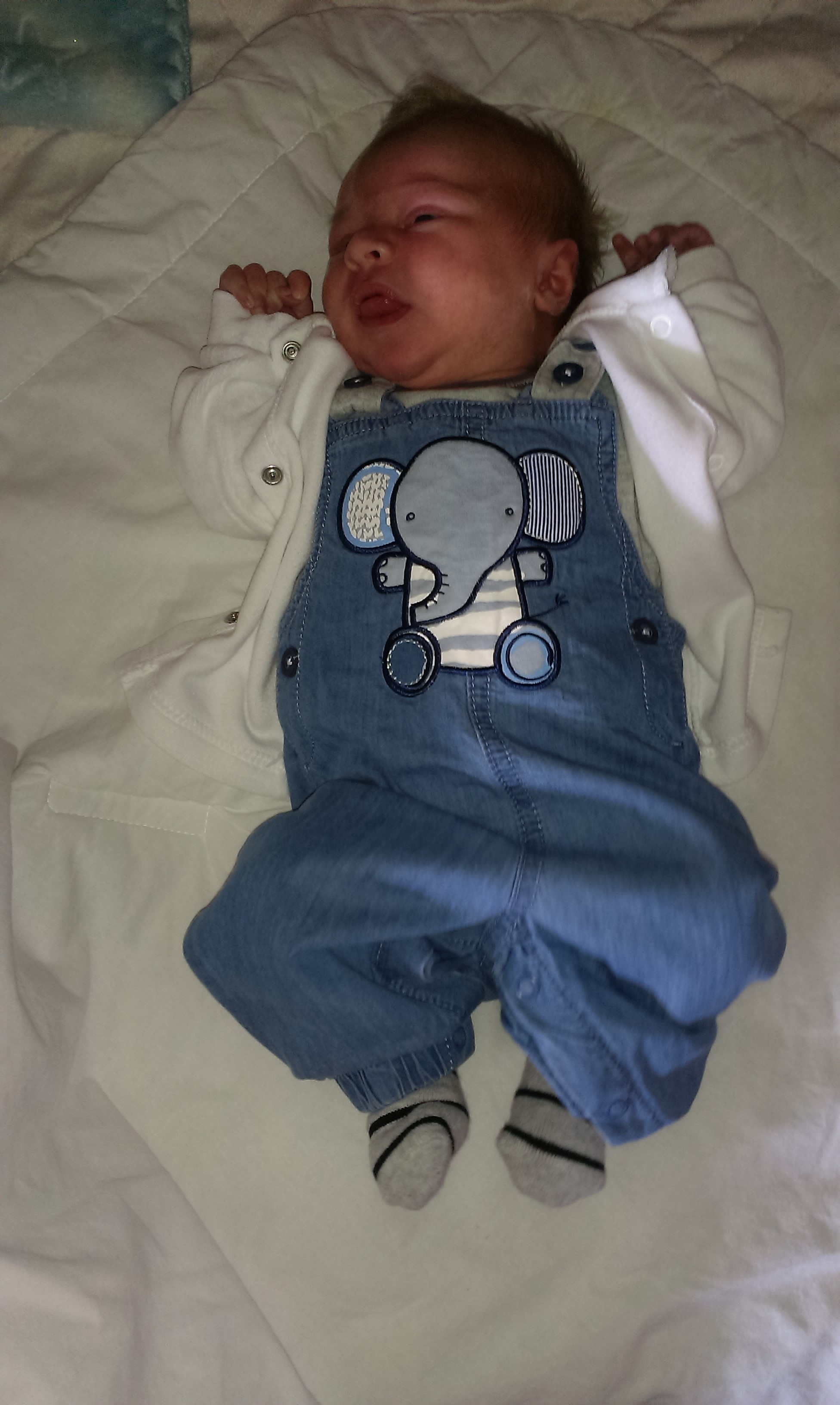 IMAG0044